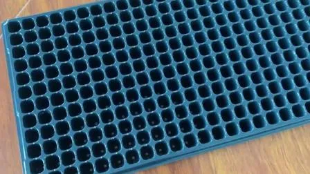 Plateau de semis en plastique et prise de pépinière de semis de riz dans la culture hors sol et le système hydroponique